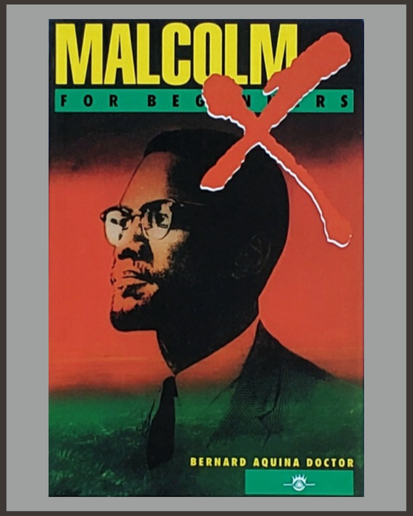 Malcolm X For Beginners-Bernard Aquina Doctor