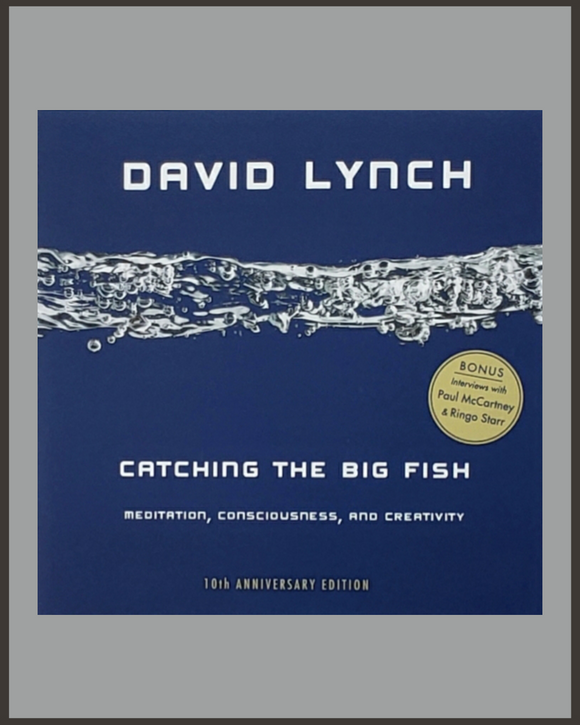 CATCHING THE BIG FISH - MEDITATION, CONSCIOUSNESS, AND CREATIVITY